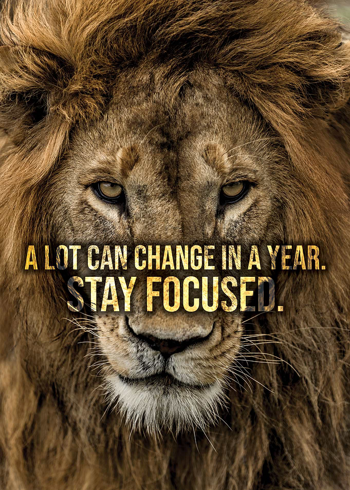 Stay Focused
