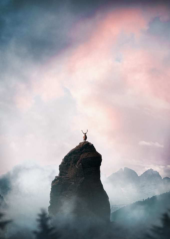 The Mountaineer