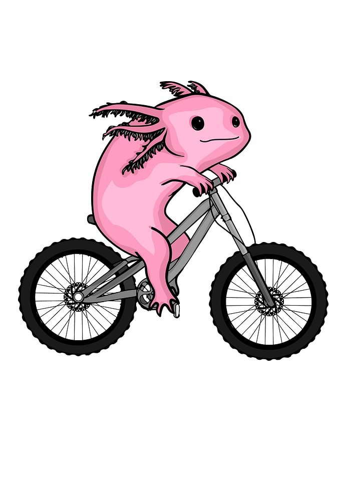 Axolotl Gift Kids Bicycle