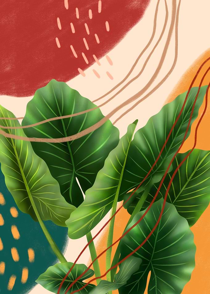 Philodendron Glorium