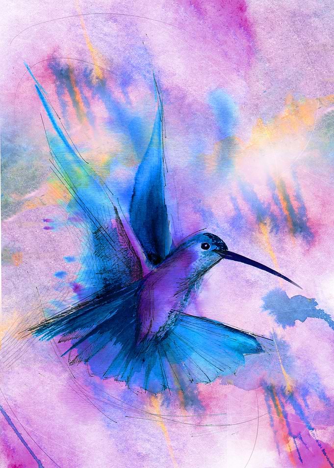 Blue Hummingbird