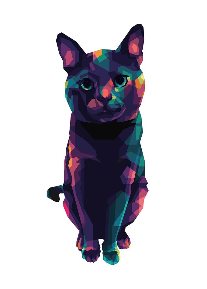 Cat Colorful