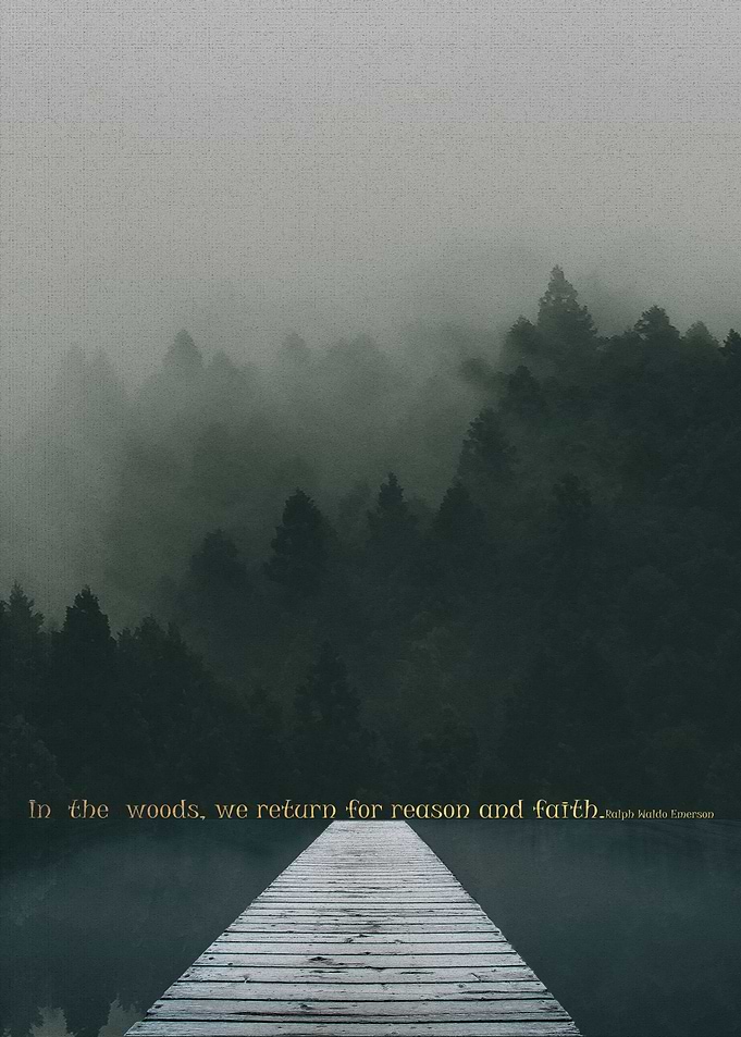 In The Woods Quote Emerson