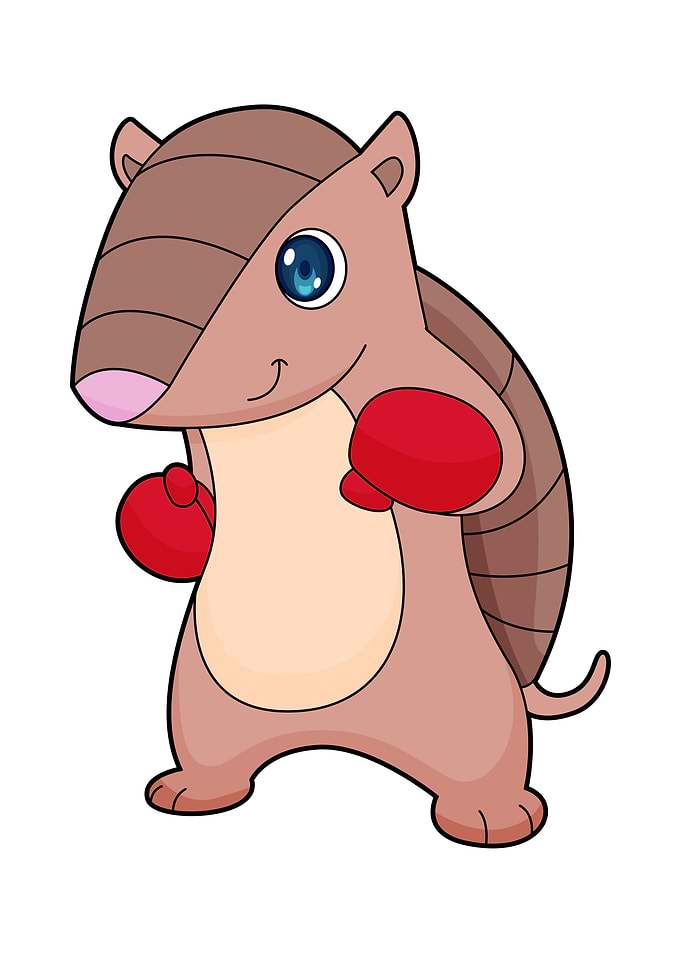 Armadillo Boxer Boxing