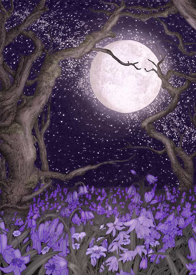 Moonlight Forest Gardens