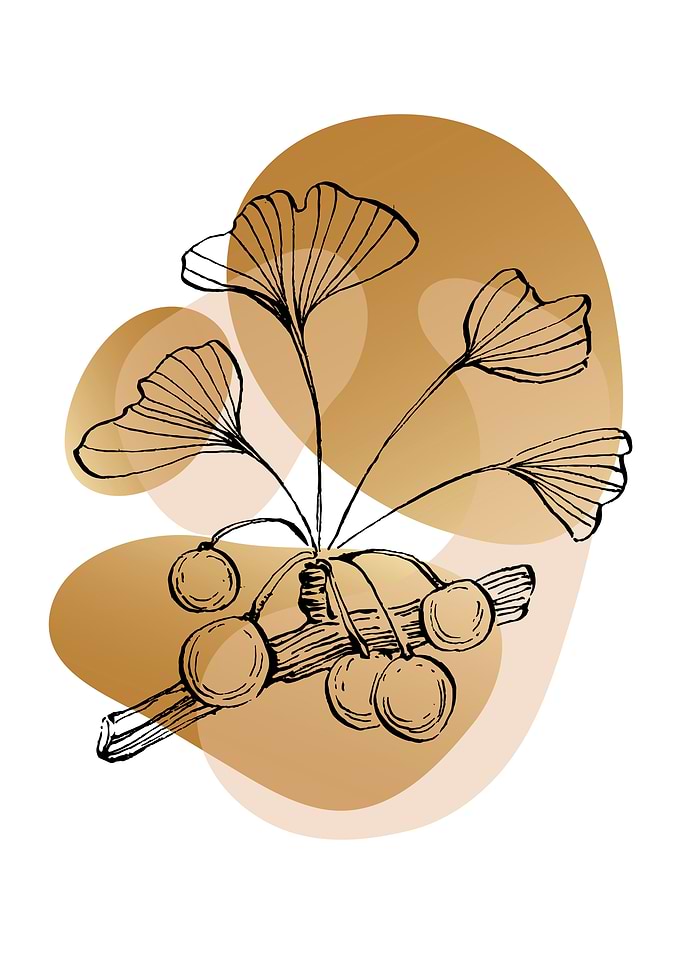 Ginkgo Simple Minimal
