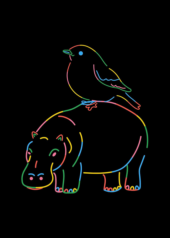 Bird with hippopotamus