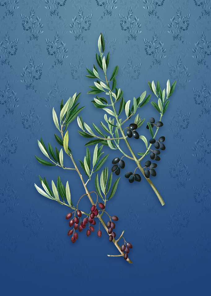 Wild Olive on Bahama Blue