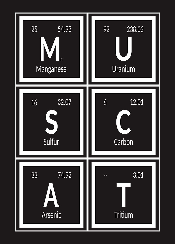 Muscat Elements