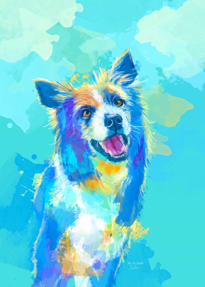 Border Collie Dog Portrait