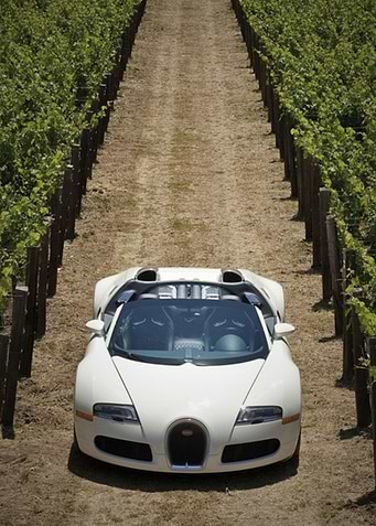Bugatti Veyron