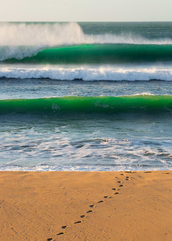 Surfing Gisborne