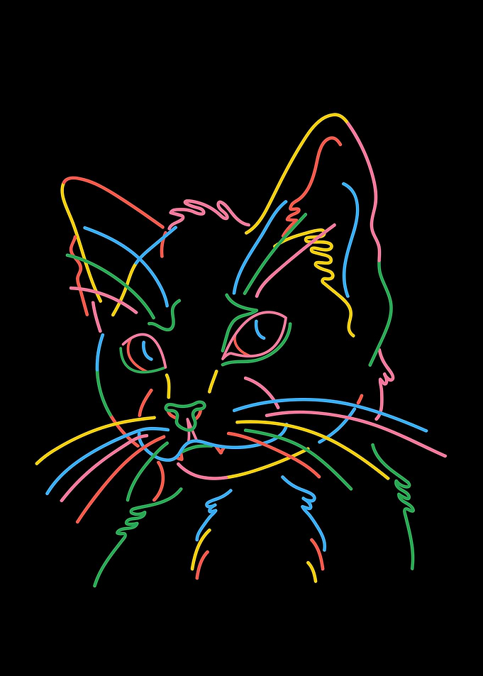 Cat Boss