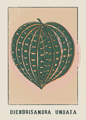 Seersucker Plant Poster