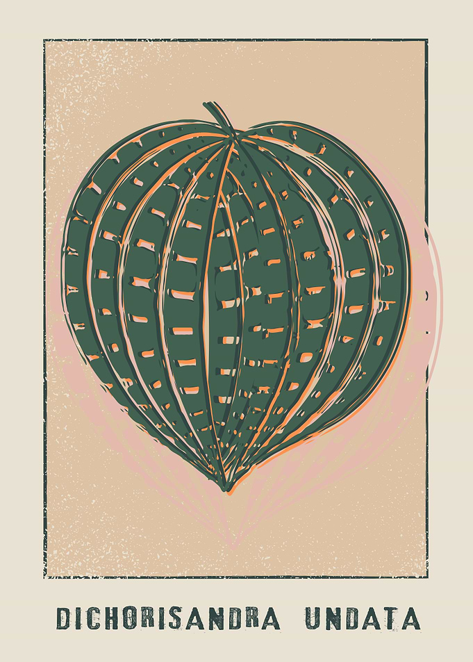 Seersucker Plant Poster