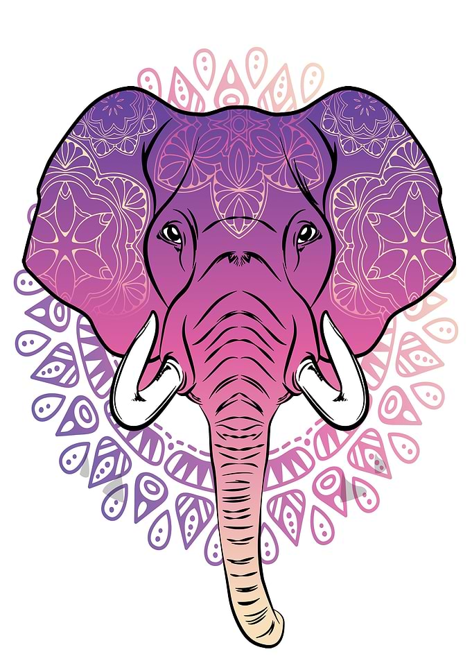 Mandala Elephant