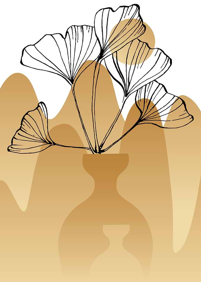Ginkgo
