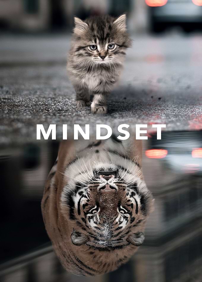 Mindset Motivation