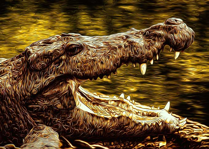 Crocodile