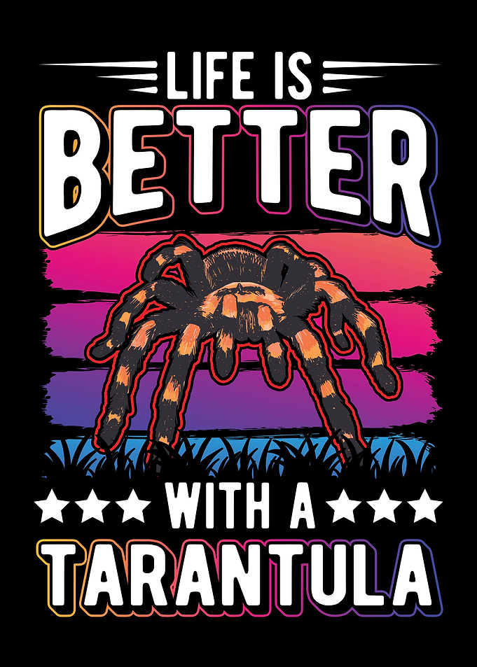 Tarantula Spider