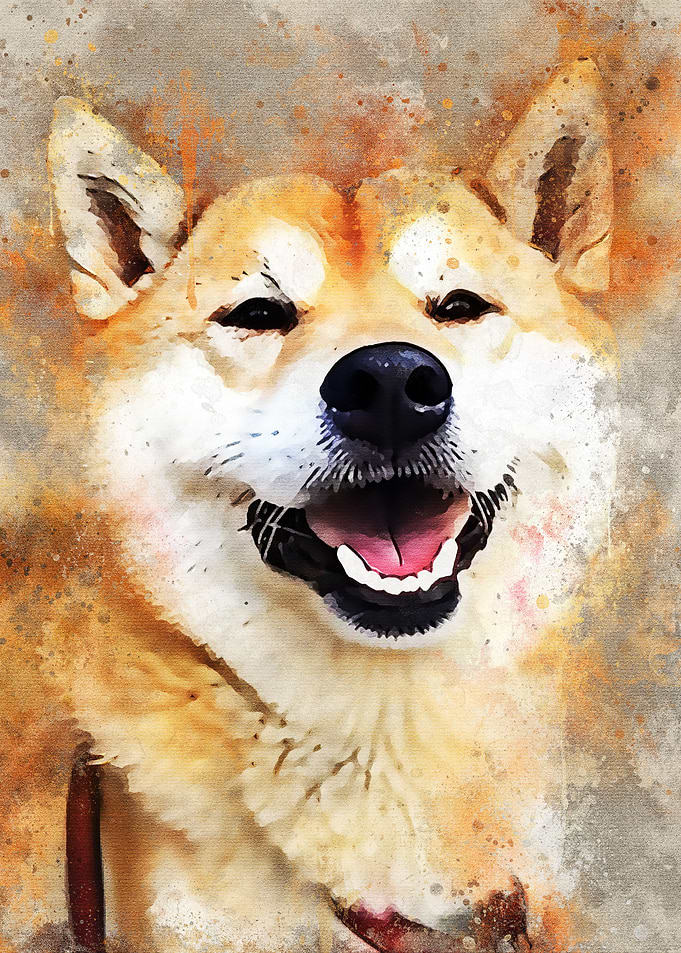 Doge Meme