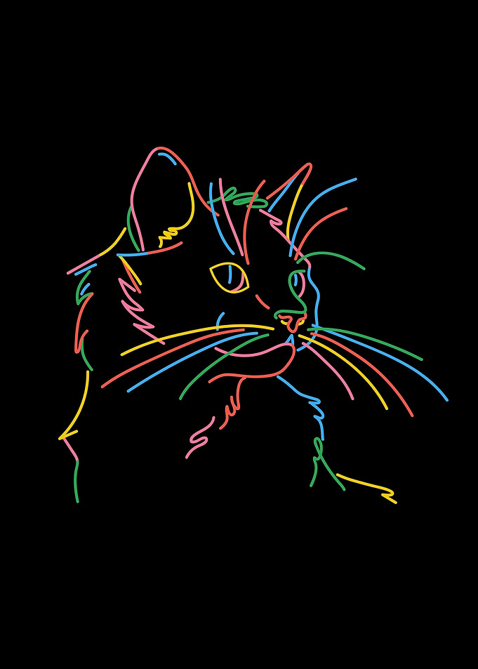 Meow meow cat