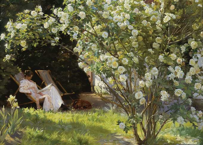 PS Kroyer Roses