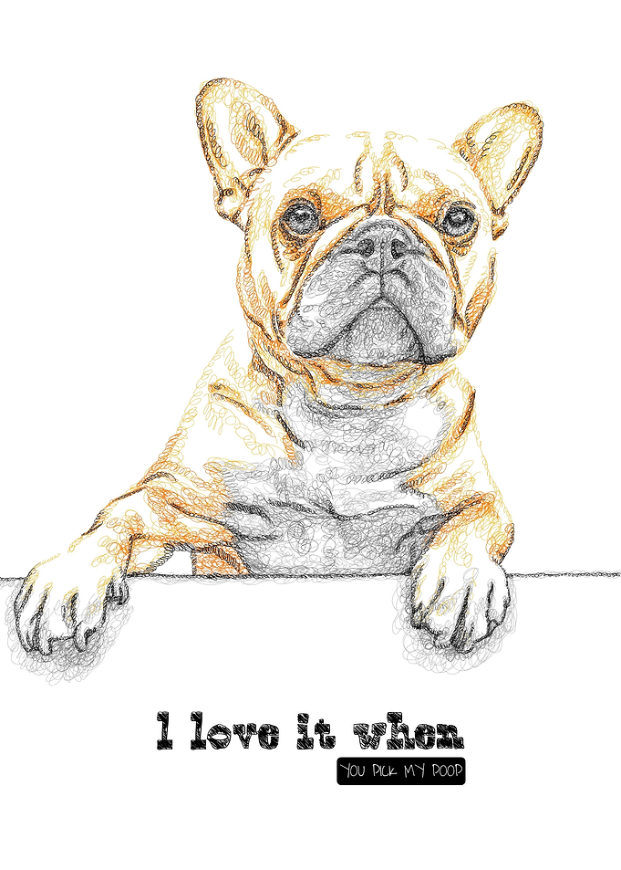 frenchie dog