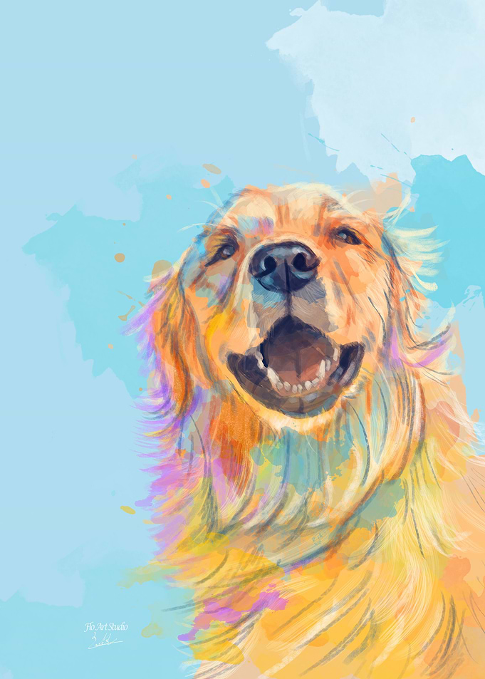 Golden Retriever Dog