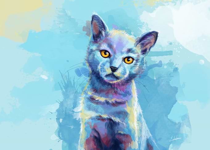 Cute Kitten Portrait