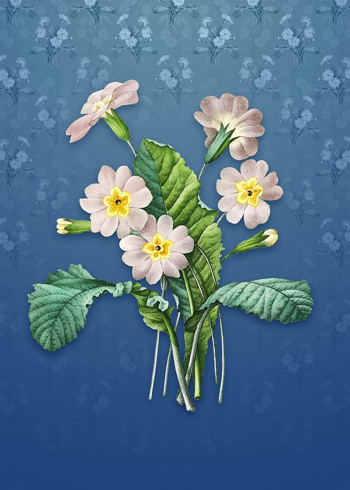 Vintage Grandiflora