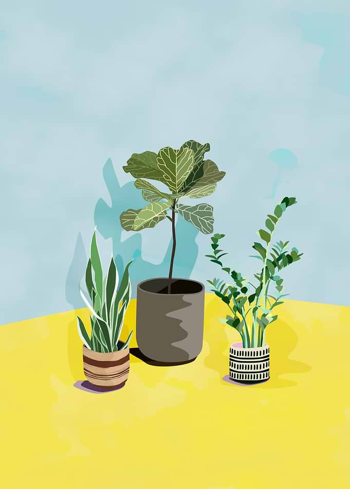 Pot Plant Friends