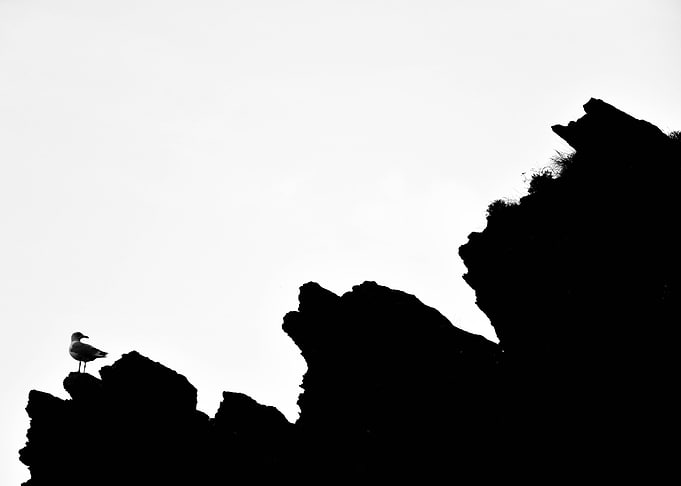 Rocky Grounds
