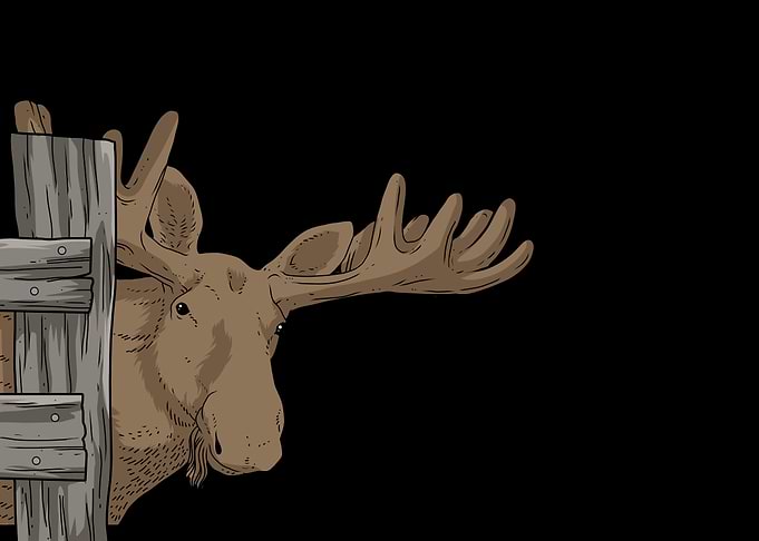 Moose Gift National Park
