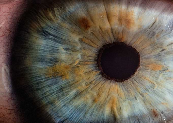 Magic of an eye