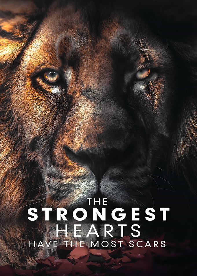 Most Scars Motivation