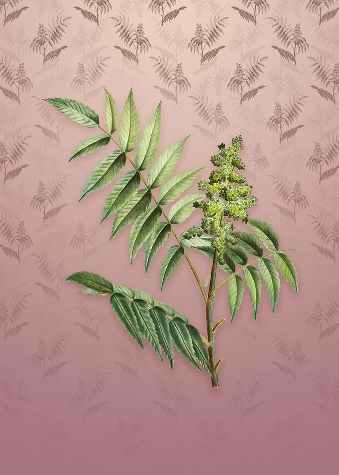 Vintage Staghorn Sumac