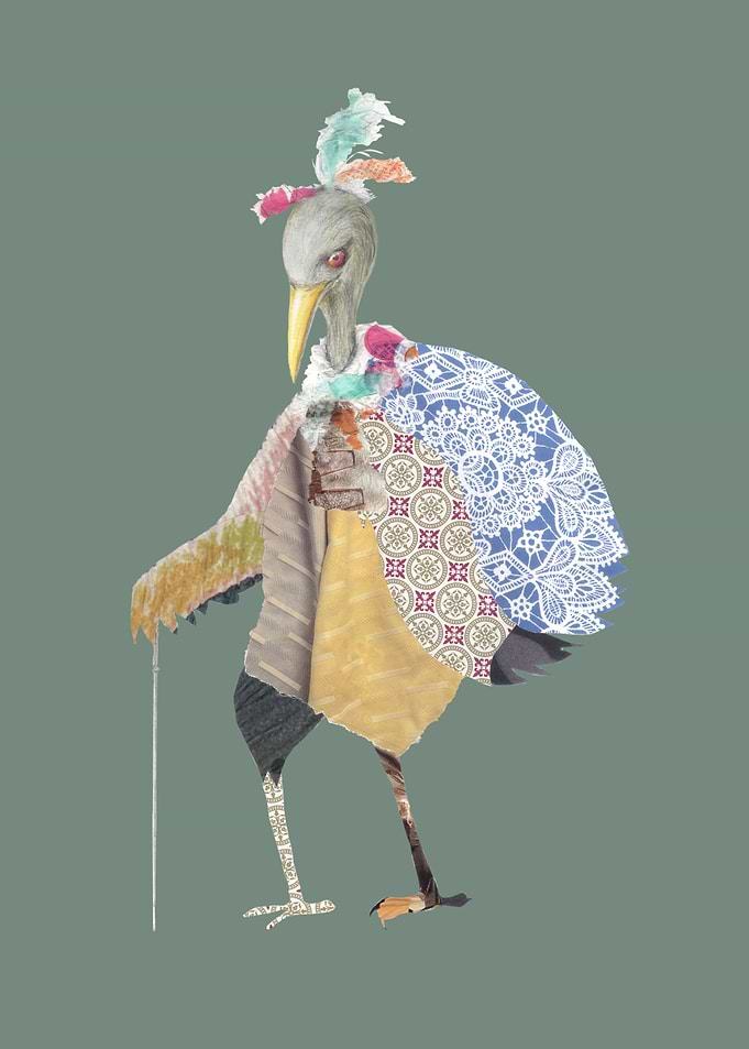 Fashion Bird
