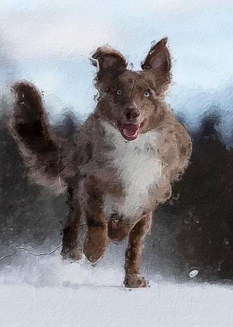 Cute dog