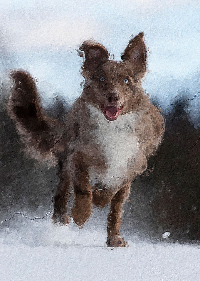 Cute dog
