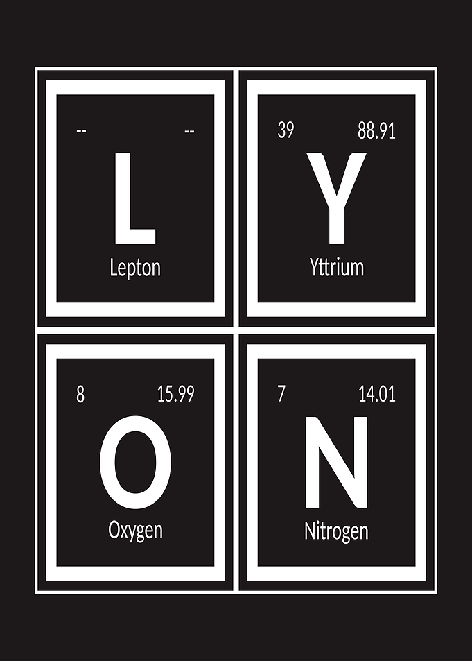 Lyon City