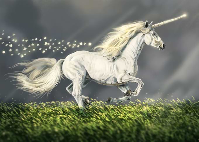 Avalanche the Unicorn