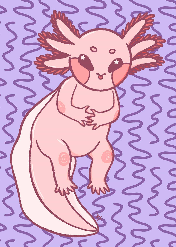 Curious Axolotl