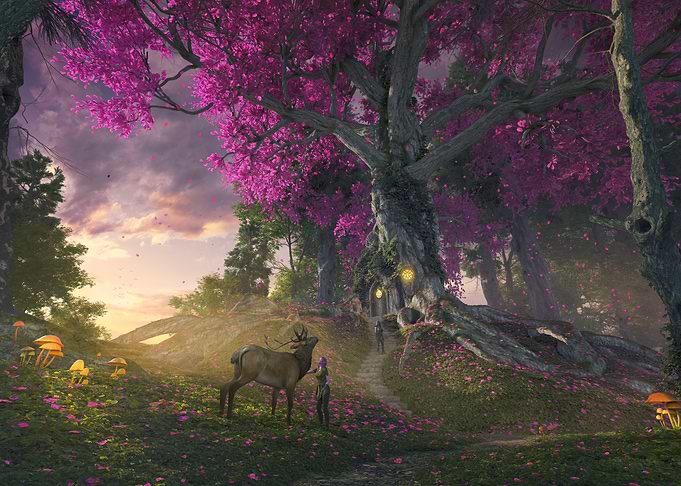 The Elven Lands