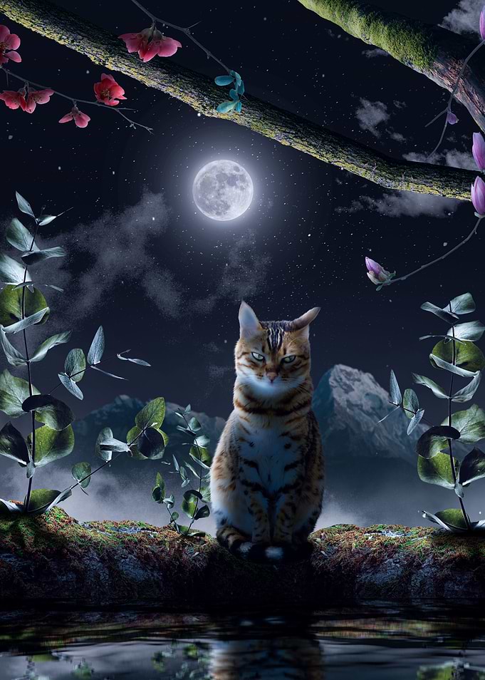Nature Cat
