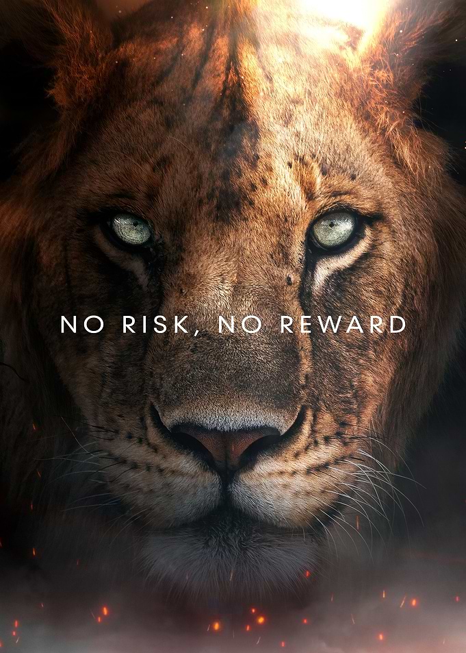 No Risk No Reward