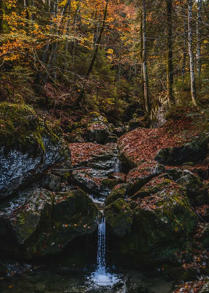 Autumn forest waterfall