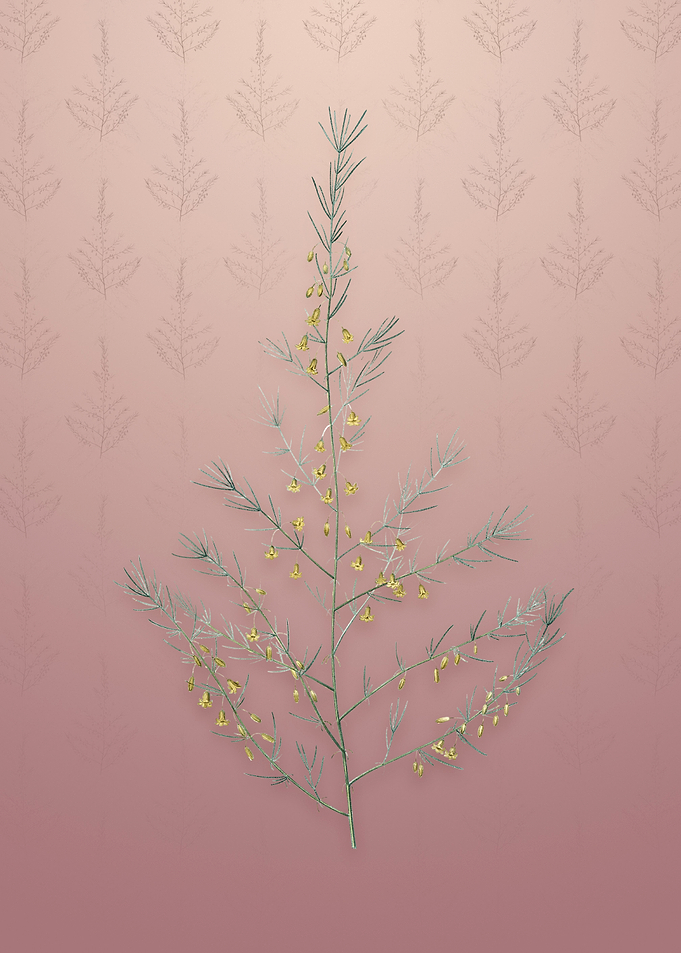 Vintage Sea Asparagus