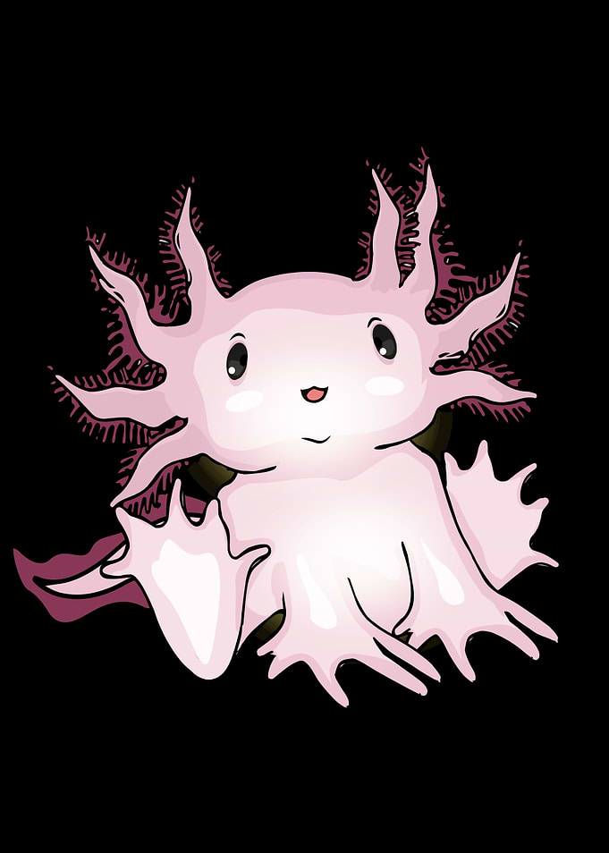 Cute Baby Axolotl Gift