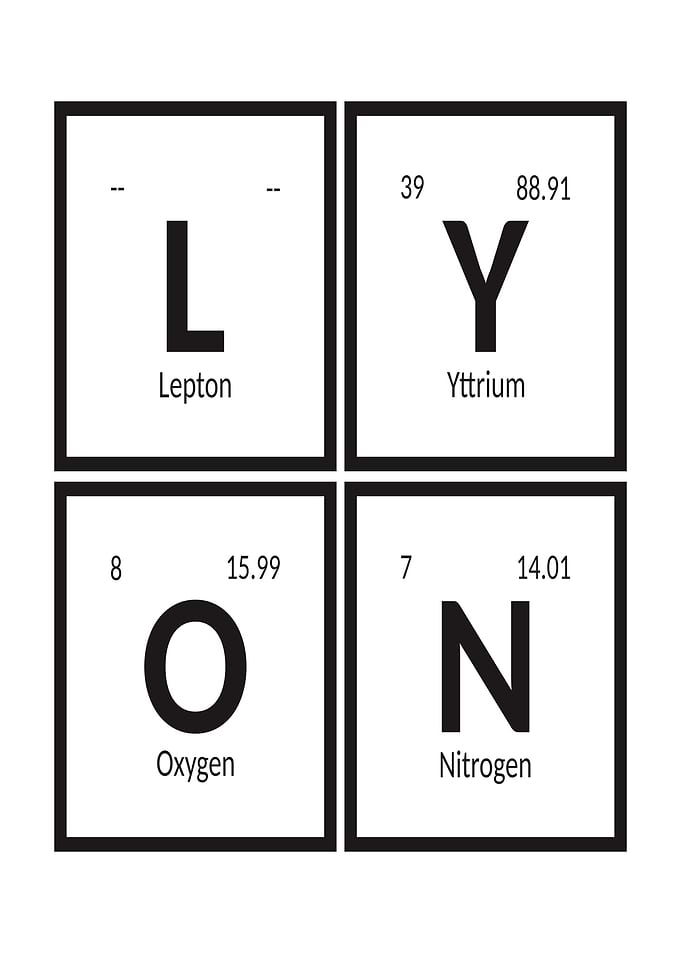 Elements of Lyon City